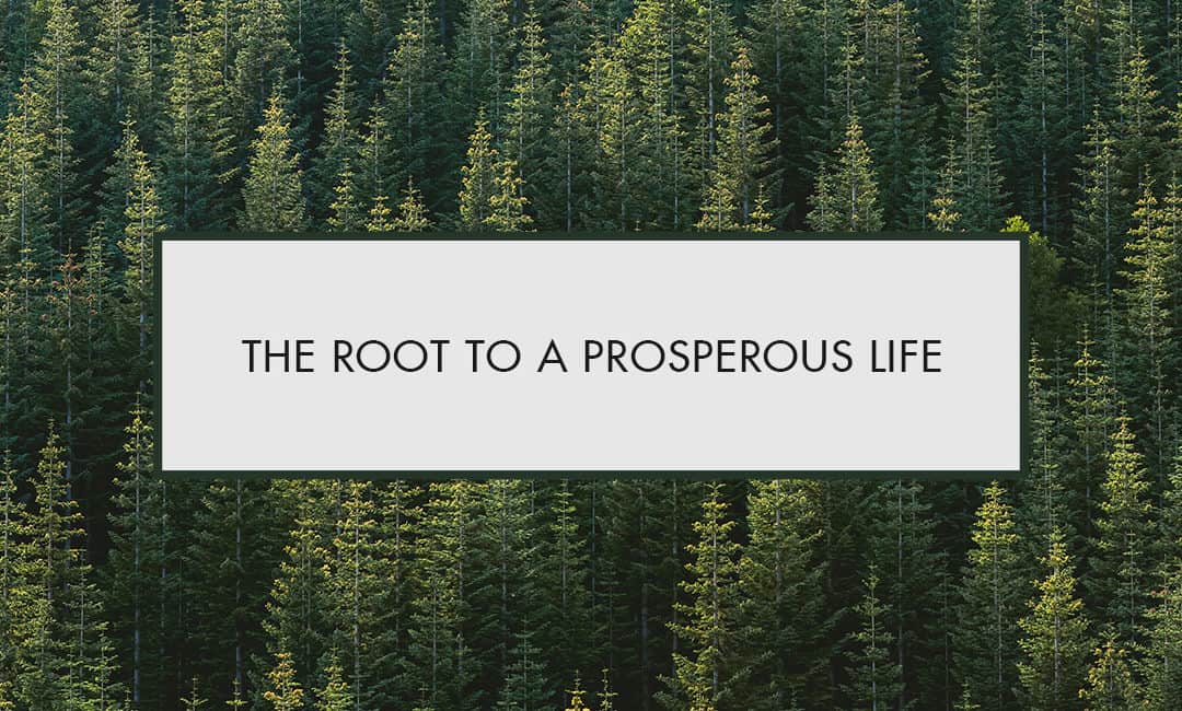 The Root to a Prosperous Life