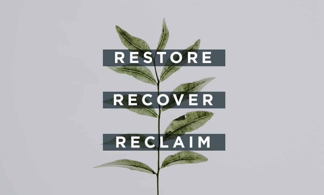 Restore, Recover and Reclaim